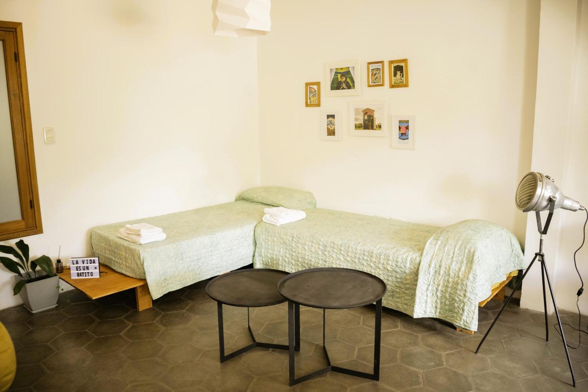 Duplex Lapacho Amarillo * Salta