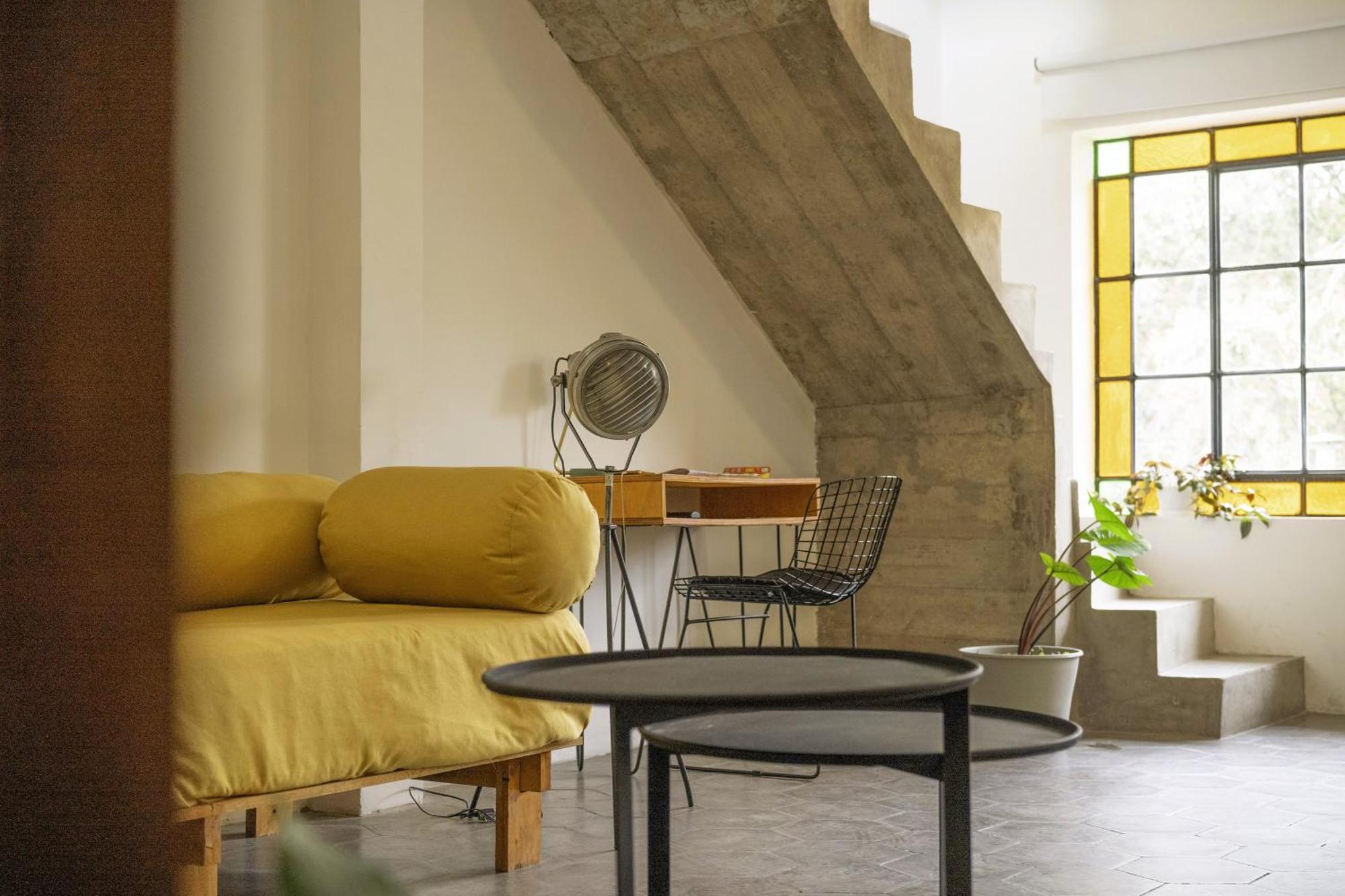 Duplex Lapacho Amarillo Salta
