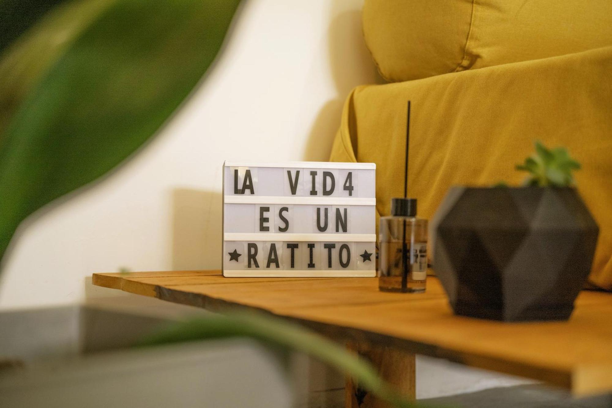 Duplex Lapacho Amarillo * Salta